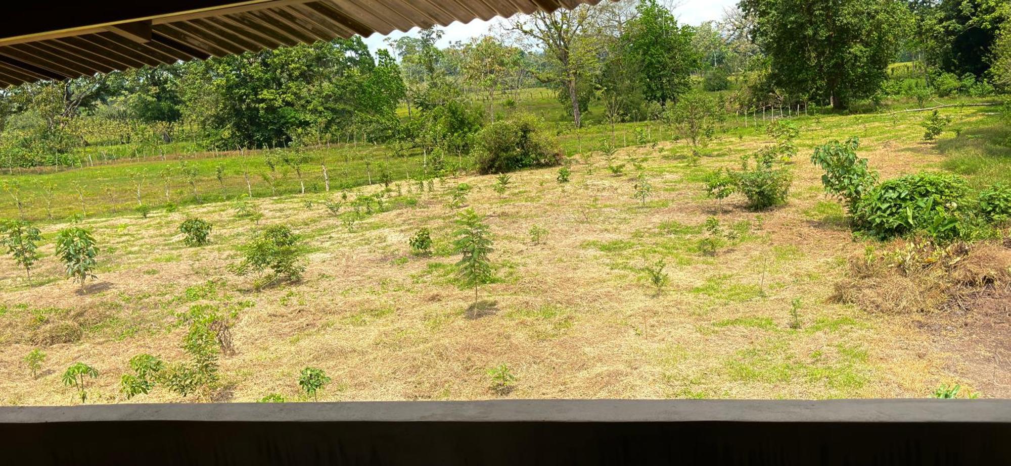Arenal Monara Hotel La Fortuna Bagian luar foto
